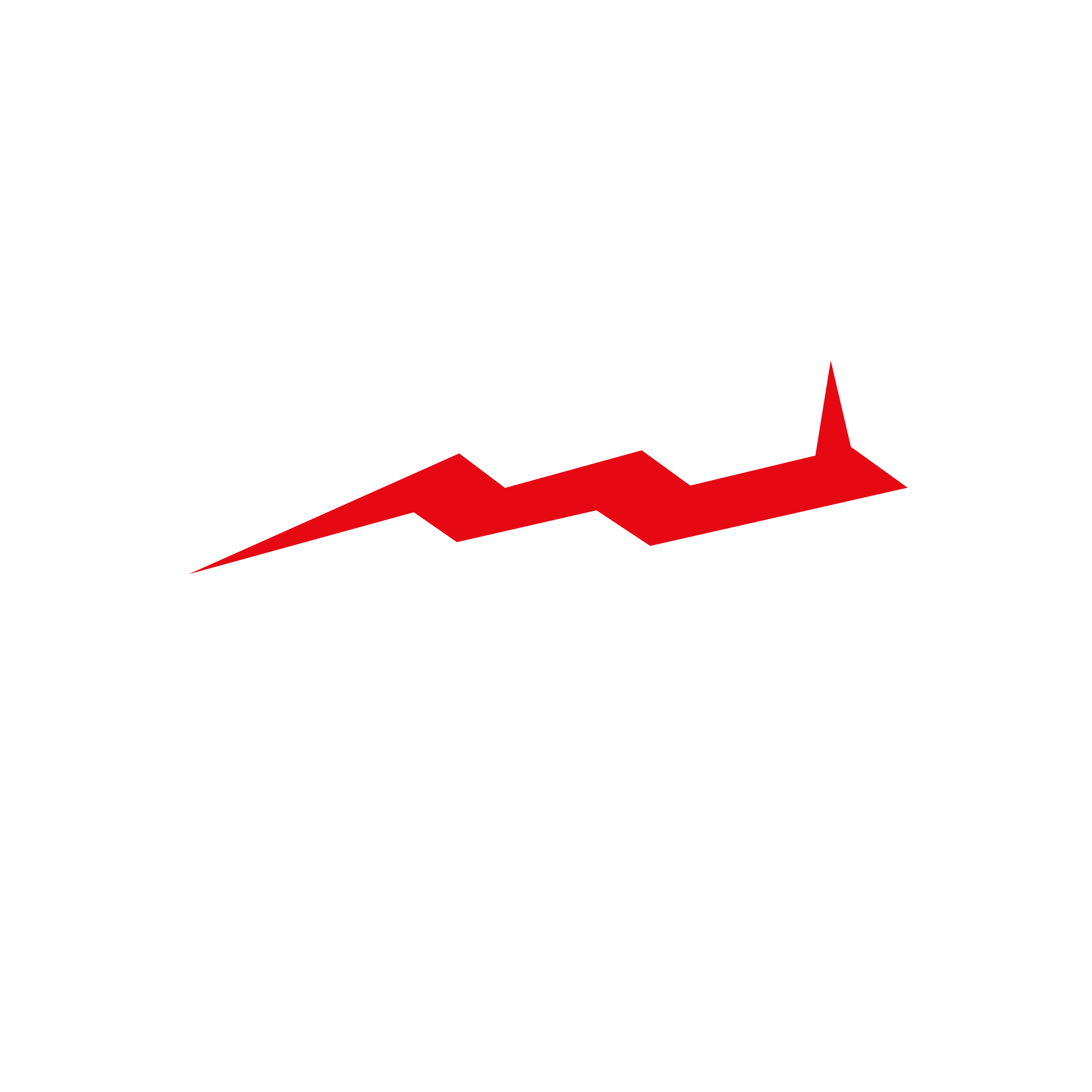 Logo Watermark